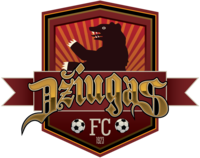 FC Džiugas Telšiai.png